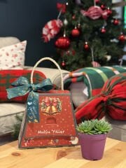 YILBAŞI ÖZEL (KUTU) ÇANTALI SUKULENT