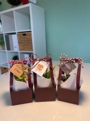 YILBAŞI ÖZEL MÜRDÜM ÇANTALI MİX