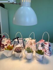 8 MART KADINLAR GÜNÜ ÖZEL SAPLI ÇANTALI MODEL KARIŞIK RENK