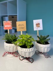 YILBAŞI ÖZEL KUPA MODEL BETON SAKSILI MİX