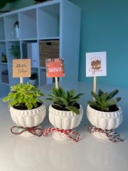 YILBAŞI ÖZEL KUPA MODEL BETON SAKSILI MİX