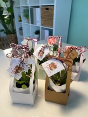 YILBAŞI ÖZEL (KARIŞIK RENK) ÇANTALI MİX