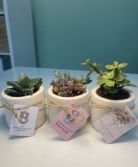 8 MART DÜNYA KADINLAR GÜNÜ ÖZEL (SİLİNDİR MODEL) BETON SAKSILI