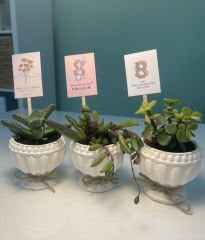 8 MART DÜNYA KADINLAR GÜNÜ ÖZEL (KUPA MODEL) BETON SAKSILI