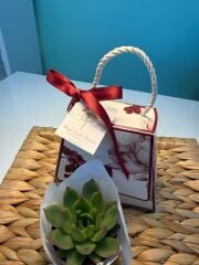 8 MART KADINLAR GÜNÜ ÖZEL SAPLI ÇANTALI MODEL (BORDO ORKİDE DESEN)