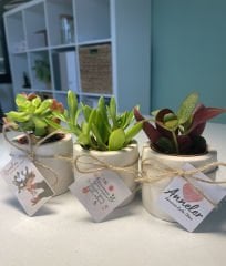 ANNELER GÜNÜ ÖZEL (SİLİNDİR MODEL) BETON SAKSILI MİX PAKET