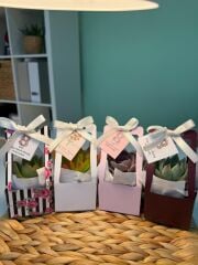 8 MART KADINLAR GÜNÜ (4 RENK KARIŞIK) ÖZEL ÇANTALI MİX