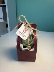 8 MART KADINLAR GÜNÜ ÖZEL ÇANTALI MİX (MÜRDÜM RENK)