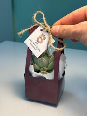 8 MART KADINLAR GÜNÜ ÖZEL ÇANTALI MİX (MÜRDÜM RENK)