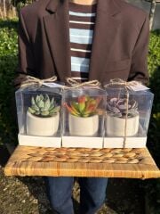 ANNELER GÜNÜ ÖZEL ASETAT KUTULU BETON(SİLİNDİR MODEL)