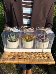 ANNELER GÜNÜ ÖZEL ASETAT KUTULU BETON(SİLİNDİR MODEL)