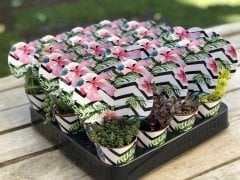 ZİGZAG ÇİZGİLİ VE ÇİÇEK DESENLİ MİX PAKET