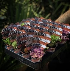 BAKIR ŞERİT DESENLİ MİX PAKET