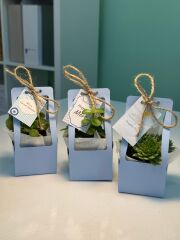 MAVİ RENK ÇANTALI MİX PAKET