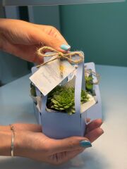 MAVİ RENK ÇANTALI MİX PAKET