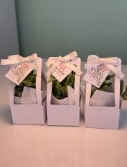 BEYAZ ÇANTA VE SATEN KURDELELİ ANNELER GÜNÜ ÖZEL ÇANTALI MİX