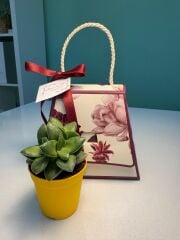 ORCHİDE KUTU ÇANTALI SUKULENT