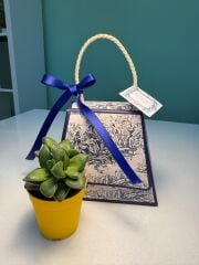 HELEN DESEN KUTU ÇANTALI SUKULENT