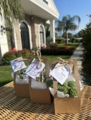 KRAFT ÇANTALI MİX PAKET