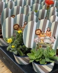 SAFARİ KONSEPTLİ MİX PAKET