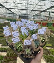 HASIR JÜT SÜSLEMELİ MİX PAKET