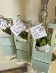 YEŞİL ÇANTALI MİX PAKET