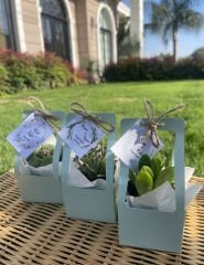 YEŞİL ÇANTALI MİX PAKET