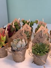 HASIR JÜT SÜSLEMELİ MİX PAKET