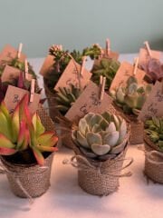 HASIR JÜT SÜSLEMELİ MİX PAKET